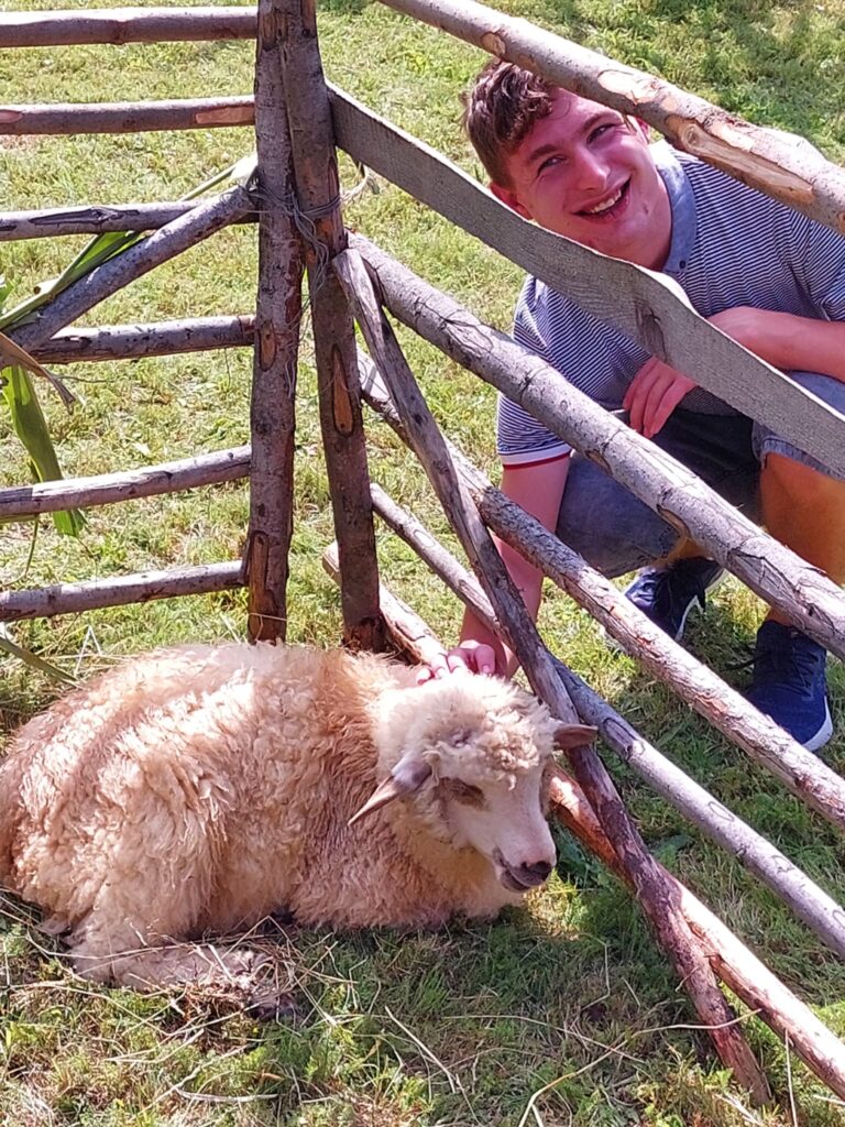 uśmiechnięty chłopiec głaszczący owcę. 
