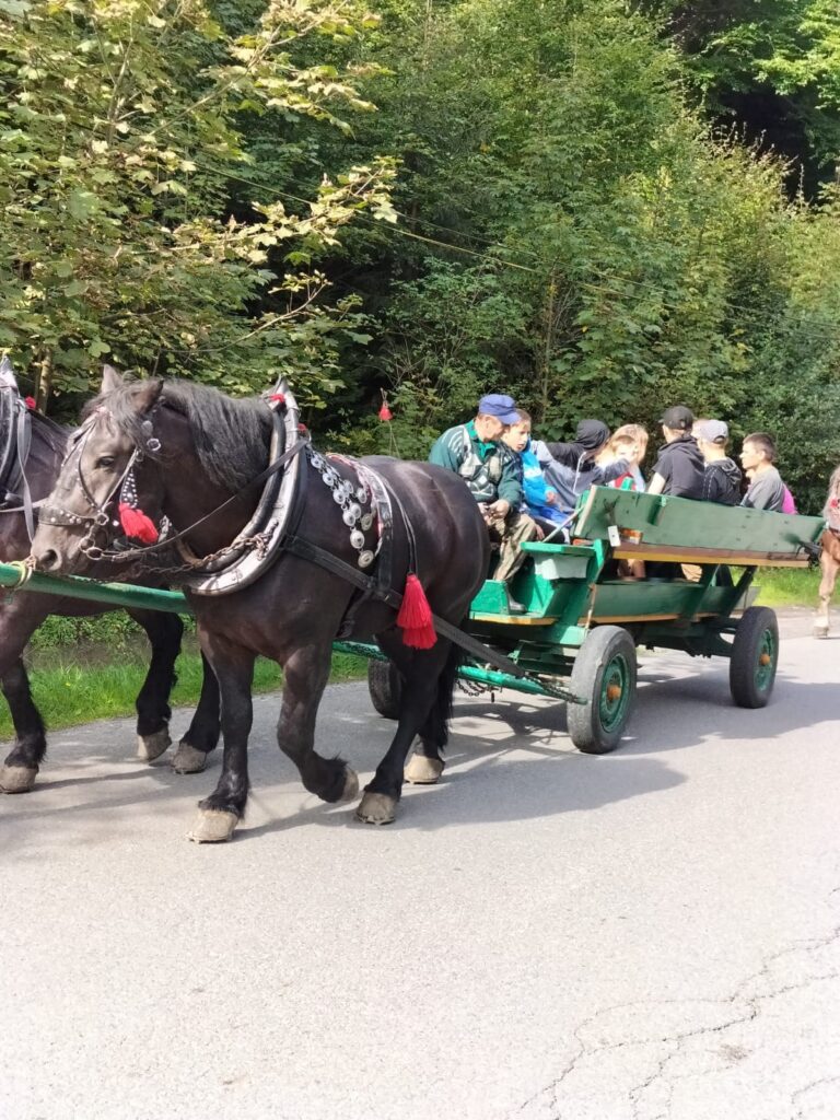 dwa konie ciągnące wóz z pasażerami 