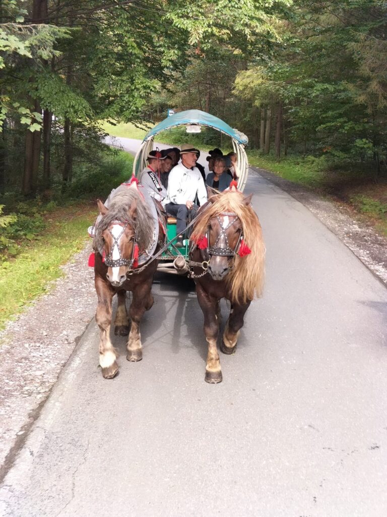 dwa konie ciągnące wóz z pasażerami