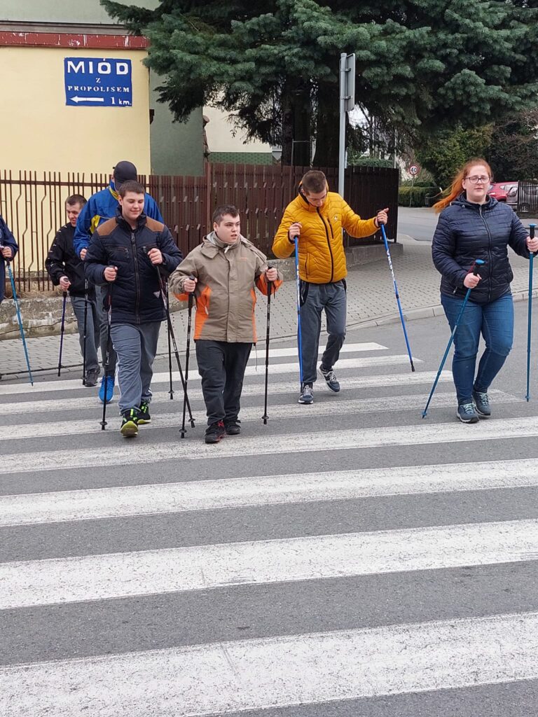 Grupa osób spacerujących z kijkami do nordic walking. 