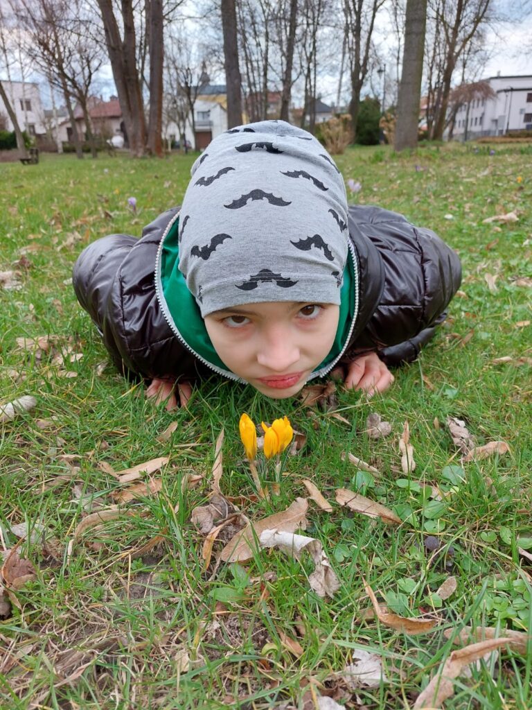 Chłopczyk  leży na trawie i spogląda w aparat.  Przed jego twarzą kwitnie krokus. 