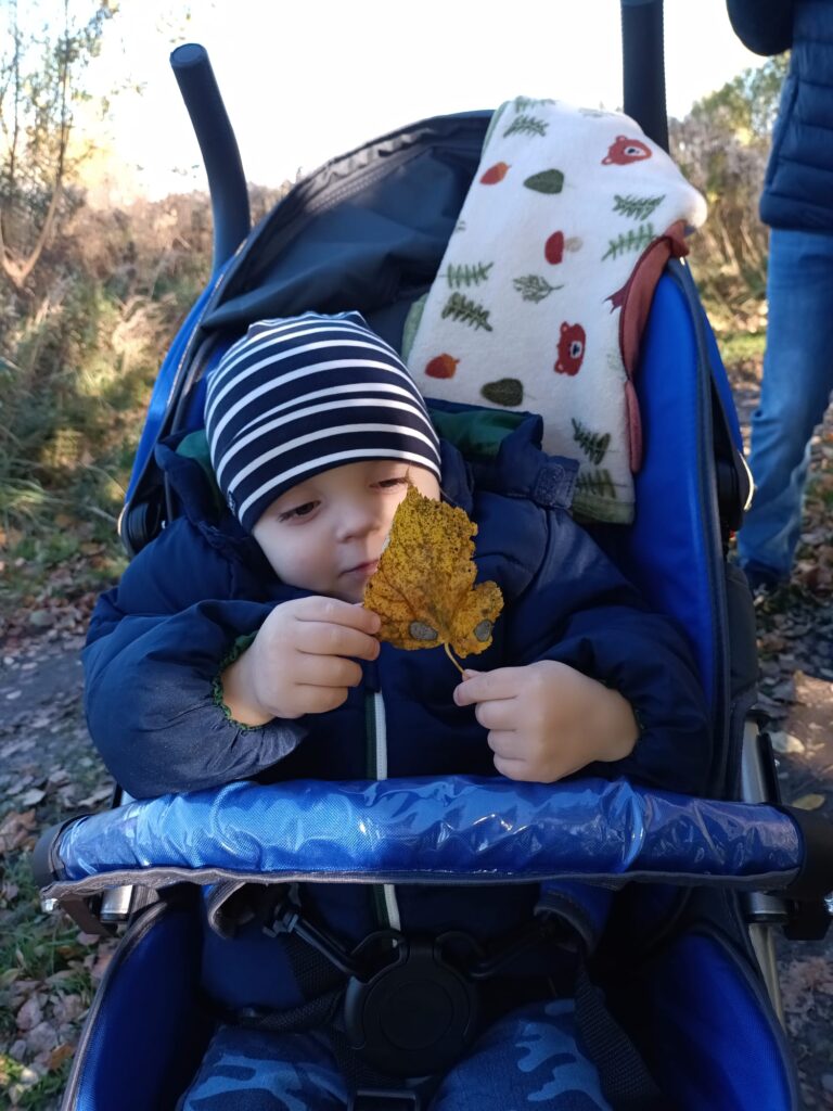 Mały chłopiec siedzący w wózku. W rękach trzyma pożółkły liść, któremu z zainteresowaniem się przygląda. 
