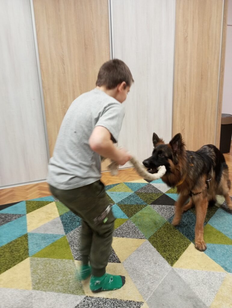 Chłopcy podczas zajęć dogoterapeutycznych - głaskający psa, siłujący się z nim liną, czeszący. 